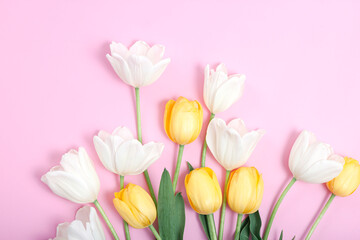 Bouquet of white tulips on pink background.