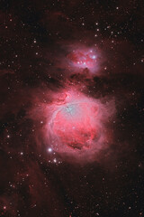Obraz na płótnie Canvas オリオン大星雲（M42）