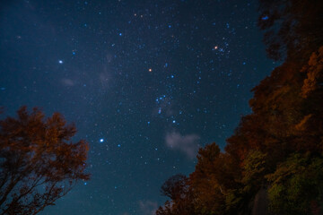 奥只見枝折峠の晩秋の星空
