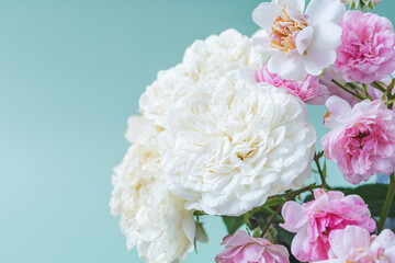 Beautiful rose flowers in modern vase