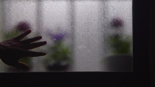 Flores ventana y lluvia 