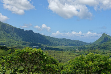 Fototapeta na wymiar Raiatea - Polynesie Francaise - Belvedere de faaroa