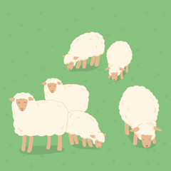 양 무리-양들이 목장에 모여 풀을 먹고 있어요.