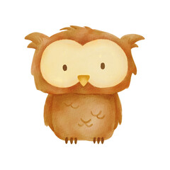 Watercolor illustration Owl. Cute baby owl isolated on white