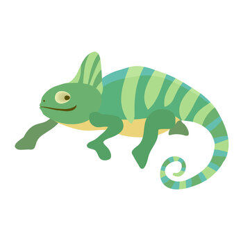 Cute small green chameleon lizard cartoon animal design flat vector illustration isolated on white background.