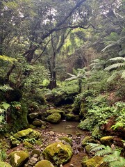 八丈島 裏見ヶ滝 富士箱根伊豆国立公園 伊豆諸島 東京