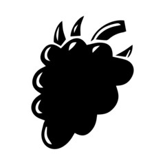 Hand drawn raspberry, black doodle illustration.