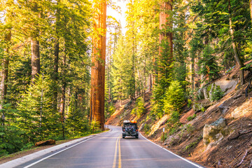 road in sequoia national park,sequoia np,california,usa.
