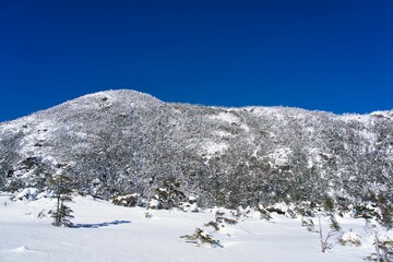 北横岳 雪山