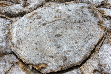 Natural salt on the shores of Salt Lake