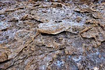 Layers of salt on the lake shore