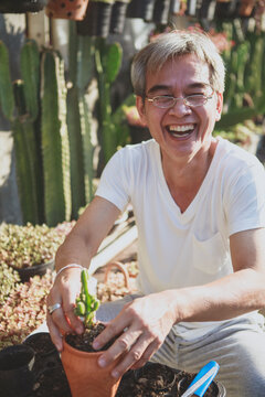 senior asian man laughing with happiness while planting succulent plant