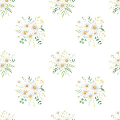 Wildflowers daisy watercolor seamless pattern isolated on white background. Summer floral digital paper for textile, fabric, kids wallpaper. 