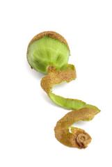 Fresh kiwi with peel isolated on white background