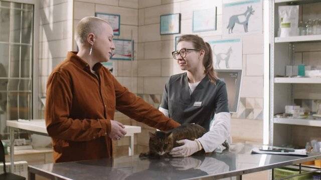 Woman speaking with female veterinarian and petting her cat during checkup in clinic