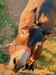 Obraz premium Aiguestortes Park in north of Lleida. Gerber lake and waterfall, Espot, Esterri d'ansu and Sort Town in Catalonia