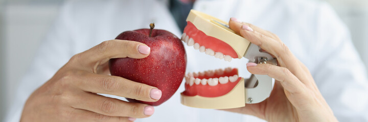Dentist doctor holds artificial jaw and apple closeup