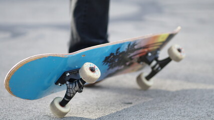 Skateboard