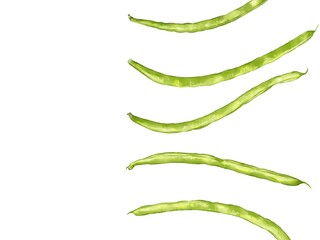 手描き水彩のインゲンイラスト長方形フレーム・右