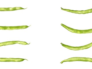 手描き水彩のインゲンイラスト長方形フレーム・左右