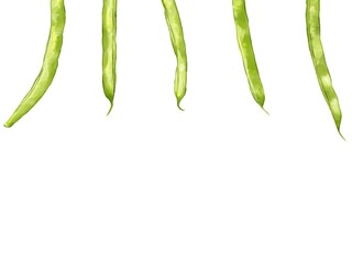 手描き水彩のインゲンイラスト長方形フレーム・上