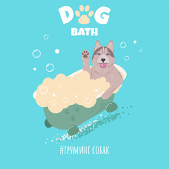 a cartoon-style husky dog takes a bath