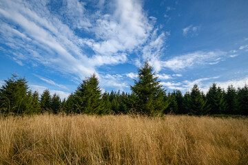 Abandoned radiolocation station on Tomnatic mountain