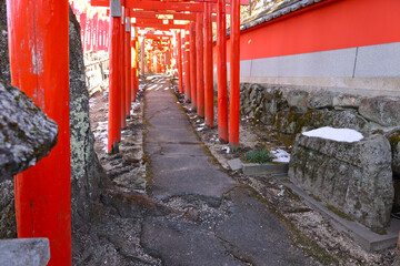 並んだ赤い鳥居