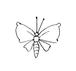 Butterfly. Outline sketch. Funny comical insect. Hand drawing is isolated on a white background. Vector