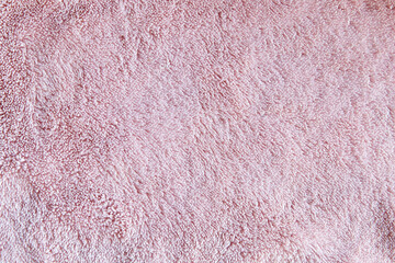 blank pattern texture of a fur