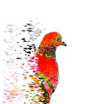 vector Pigeon on white background, Pigeon vector 
 illustration, bird modern art.