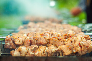 Cooking barbecue on charcoal with smoke, pork on skewers is stacked in a row. Selective focus