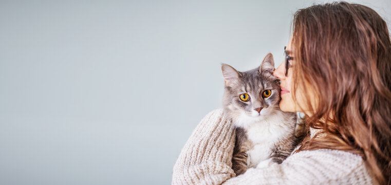 Young cheerful curly girl woman holding a beautiful gray fluffy cat in her arms