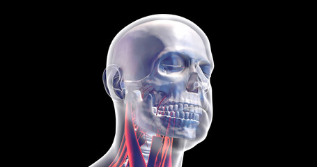 Artificial Intelligence Concept Of Human Head. Electronic Brain. X-ray Visualization Inside Of Skull. 3D Illustration Render.