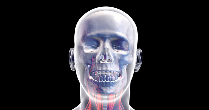 Artificial Intelligence Concept Of Human Head. Electronic Brain. X-ray Visualization Inside Of Skull. 3D Illustration Render.