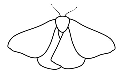 Butterfly black and white outline illustration. Coloring book or page for kids
