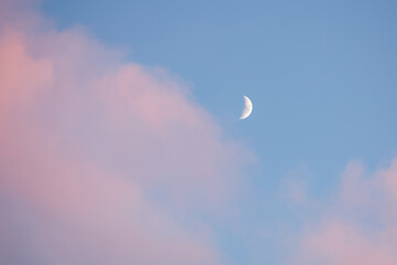 Half moon white on a blue sky with pink clouds. Young moon on a beautiful pastel heavens