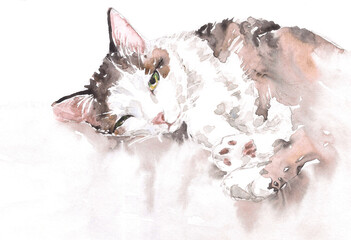 Calico cat with green eyes. Watercolor illustration of cute sleepy kitten.