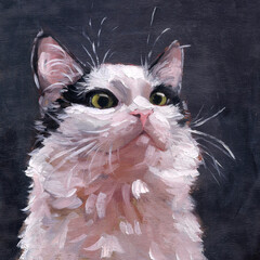 Oil paint illustration of bicolor cat. Portrait of black and white kitten with green eyes