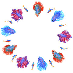 Fighting fish card. Watercolor illustration. White background