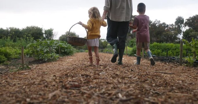 Mother going harvesting with her two little children. Single mother holding her children's hands while walking towards an organic garden. Self-sufficient family going to pick fresh vegetables.