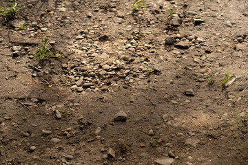 a lot of stones are lying on dry land in a chaotic manner