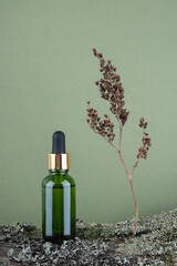 One green glass dropper bottle with serum, essential oil or other cosmetic product and dry flower plant on moss against green background.Natural Organic Spa Cosmetic Beauty concept