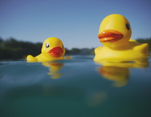 Two rubber ducks floating on a lake