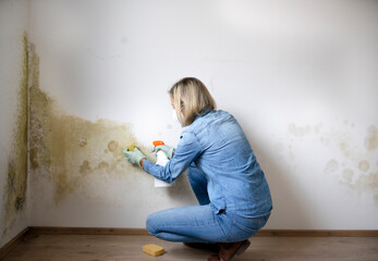 pretty blonde woman with mouth nose mask cleans dangerous mold from dirty apartment wall