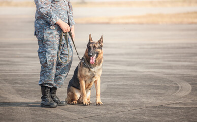 Soldiers from the  K-9 unit demonstrations to attack the enemy , the green lawns.