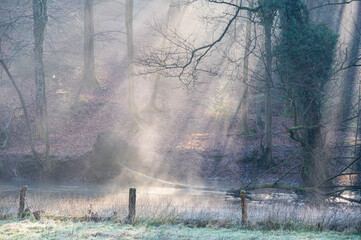Morgenlicht
