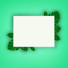 Monstera leaves background.
