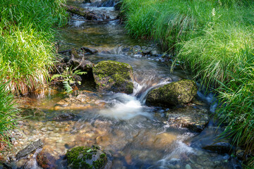 Close up of a small stream or brook in in woodland