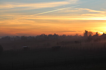 aube, brume, horizon, brouillard, couleur, fond d'écran